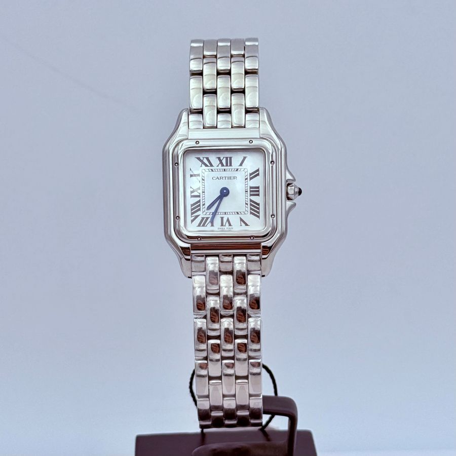 Panthère de Cartier, Modello Medio, Acciaio