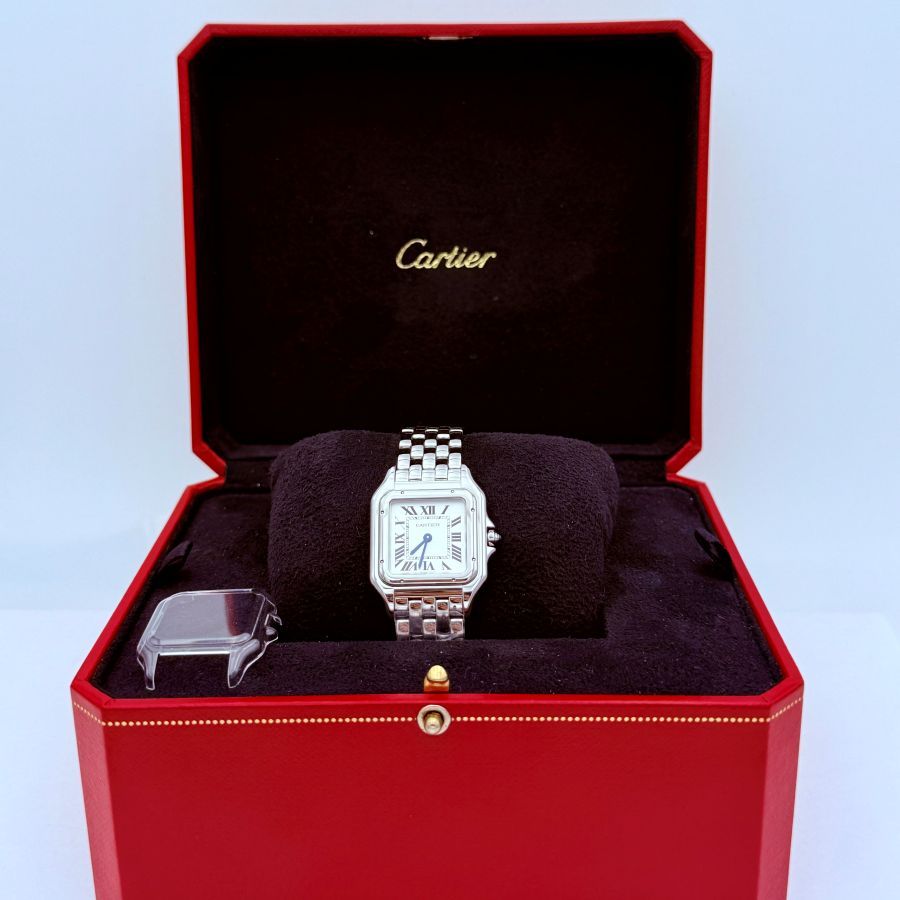 Panthère de Cartier, Modello Medio, Acciaio